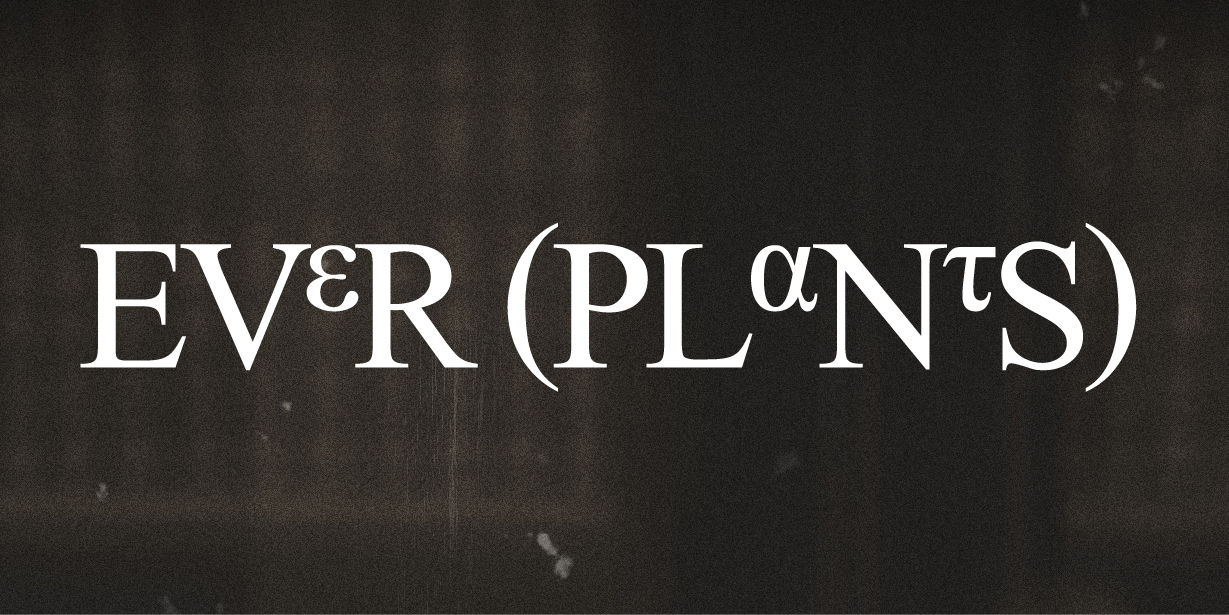EVERPLANTS—— VI及包装设计