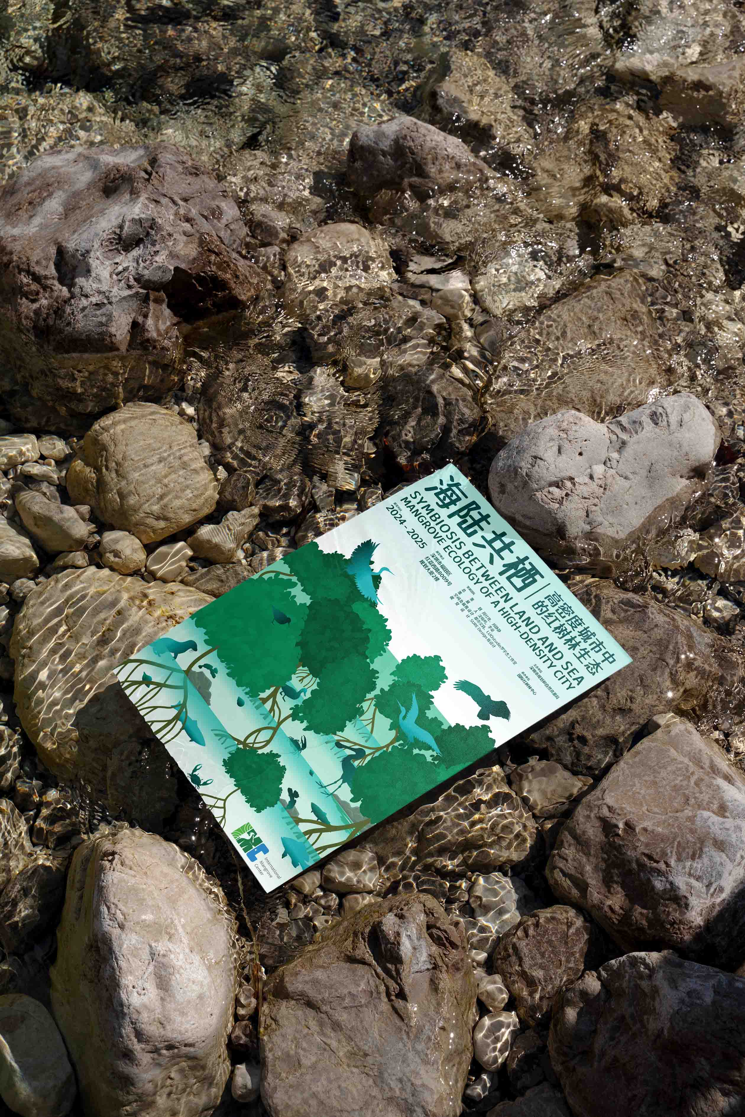 海陆共栖 | 高密度城市中的红树林生态-展览视觉设计